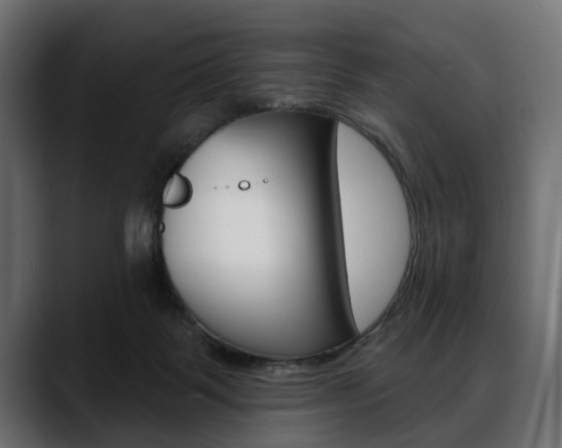 X0000088650123200705250949