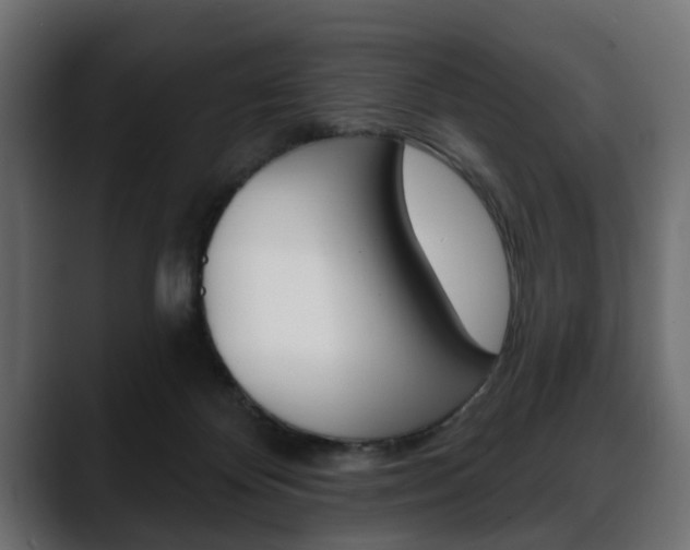X0000088650124200705250949
