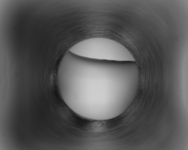 X0000088650126200705250949