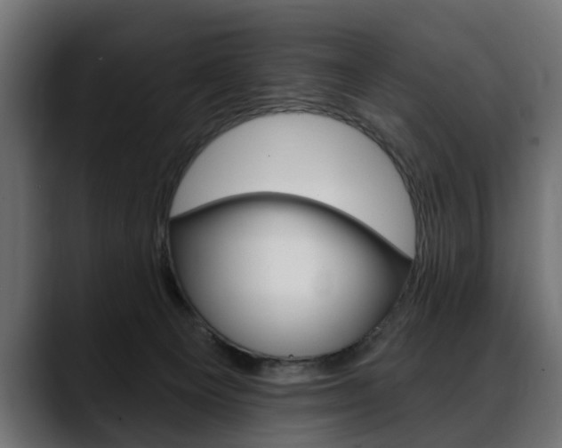 X0000088650129200705250949