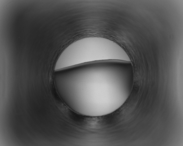 X0000088650131200705250949