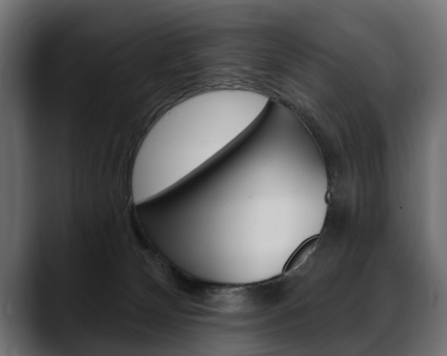 X0000088650132200705250949