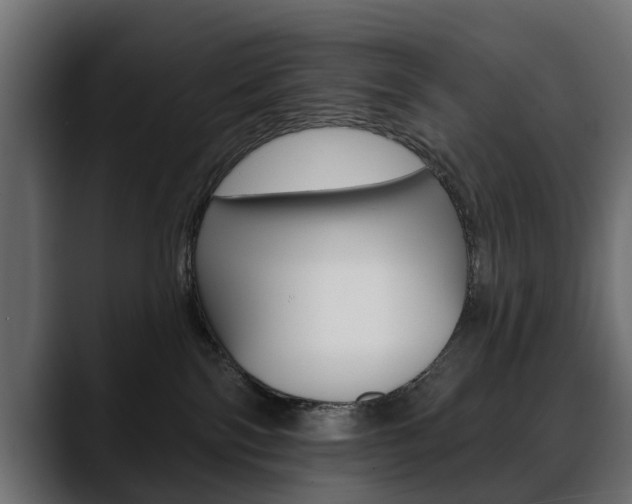 X0000088650138200705250949