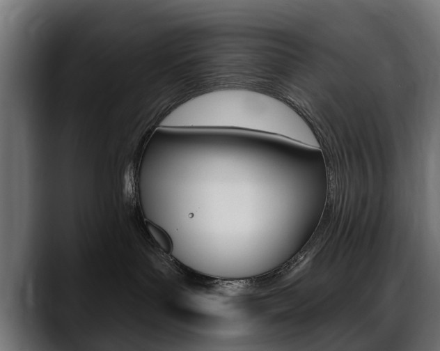 X0000088650143200705250949