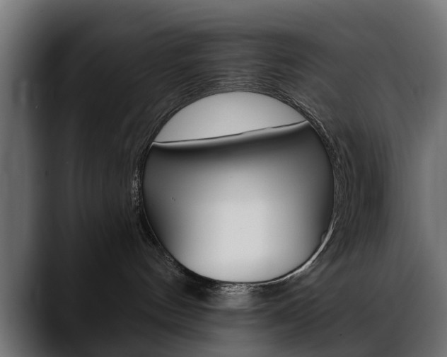 X0000088650144200705250949