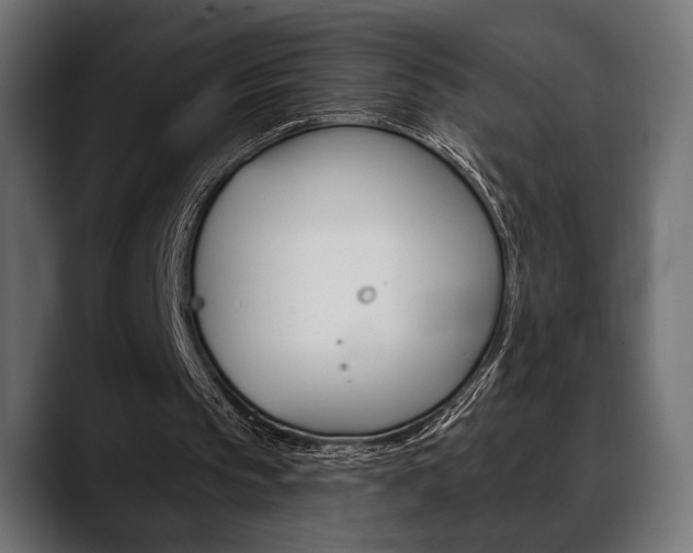 X0000088650145200705250948