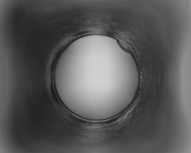 X0000088650149200705250949
