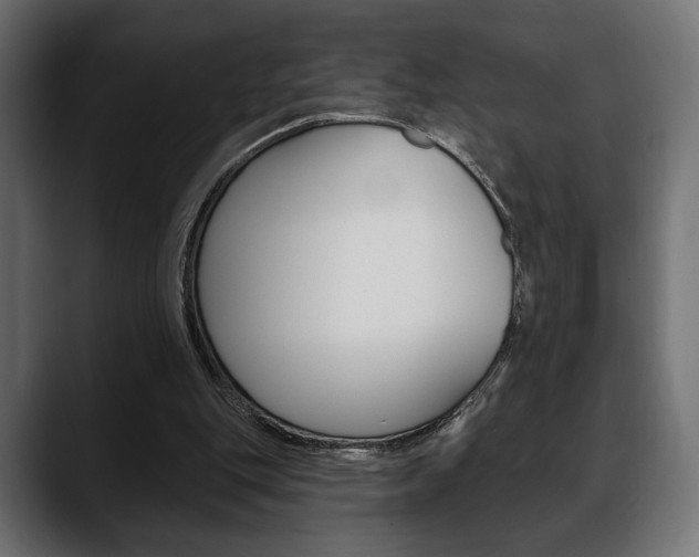 X0000088650151200705250949