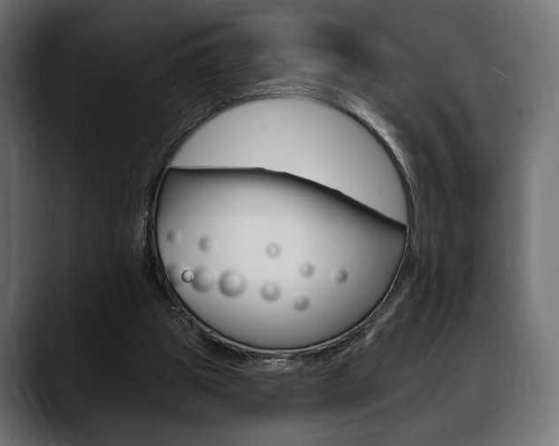 X0000088650153200705250949
