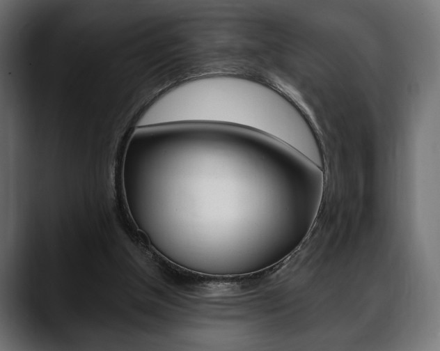 X0000088650154200705250949
