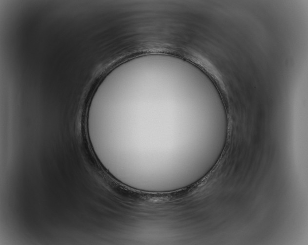 X0000088650155200705250949