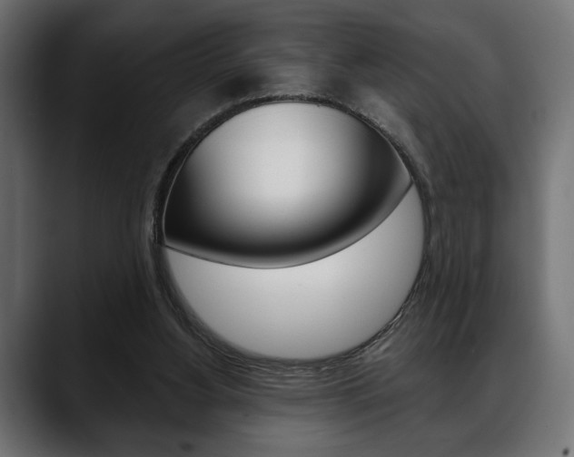 X0000088650156200705250949