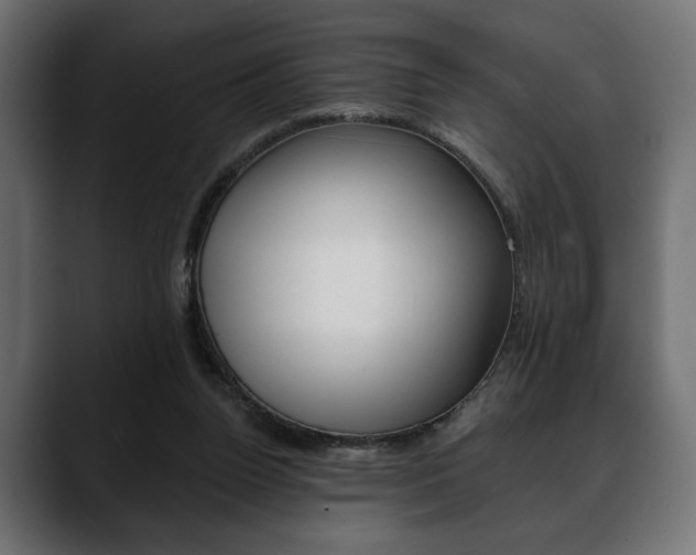 X0000088650160200705250949