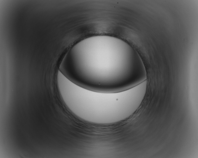 X0000088650164200705250949