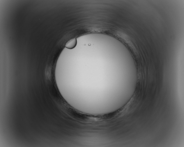 X0000088650167200705250949