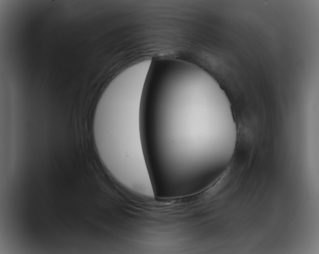 X0000088650170200705250949