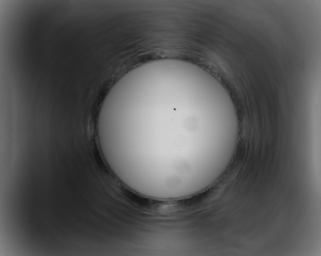 X0000088650173200705250949