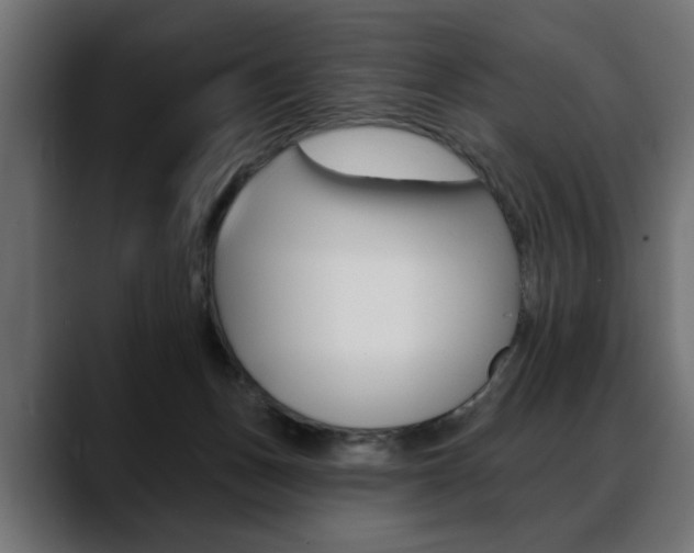 X0000088650175200705250949
