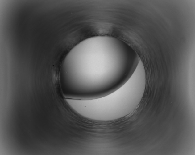 X0000088650176200705250949