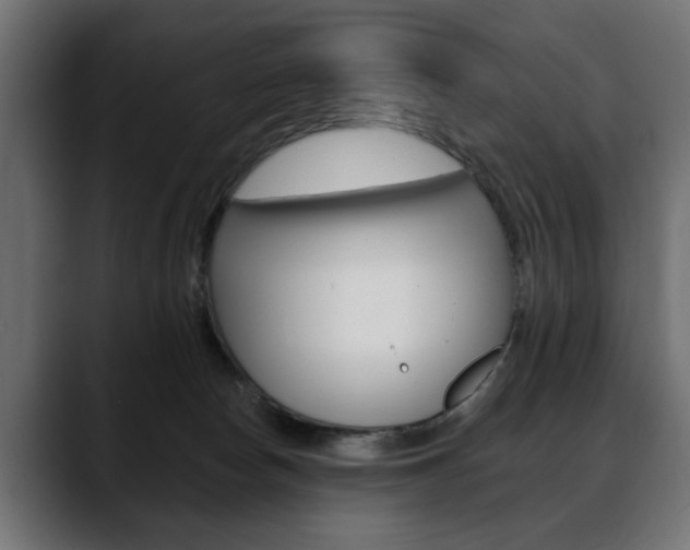 X0000088650178200705250949