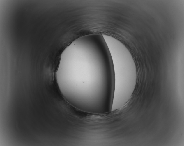 X0000088650180200705250949