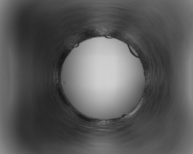 X0000088650182200705250949
