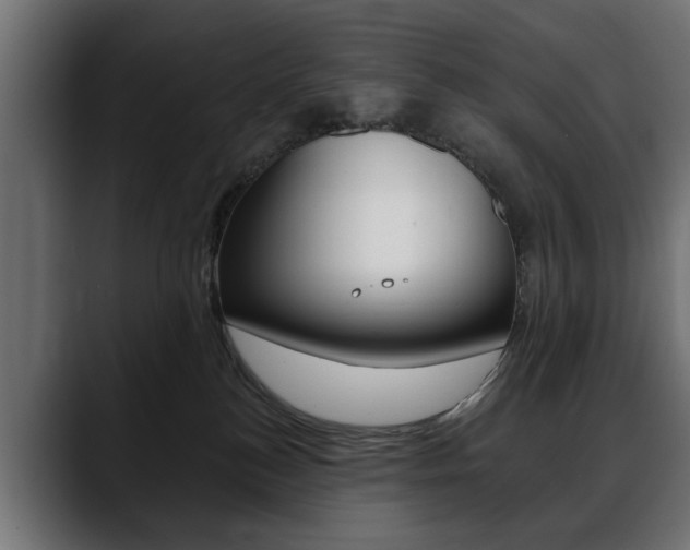 X0000088650184200705250949