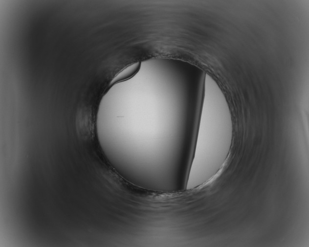 X0000088650186200705250949