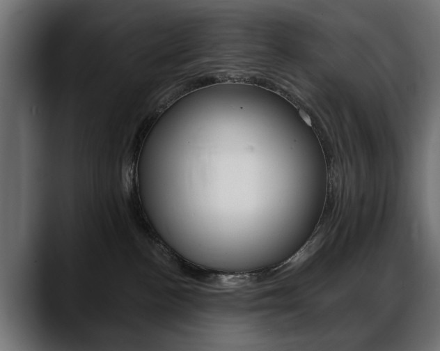 X0000088650188200705250949