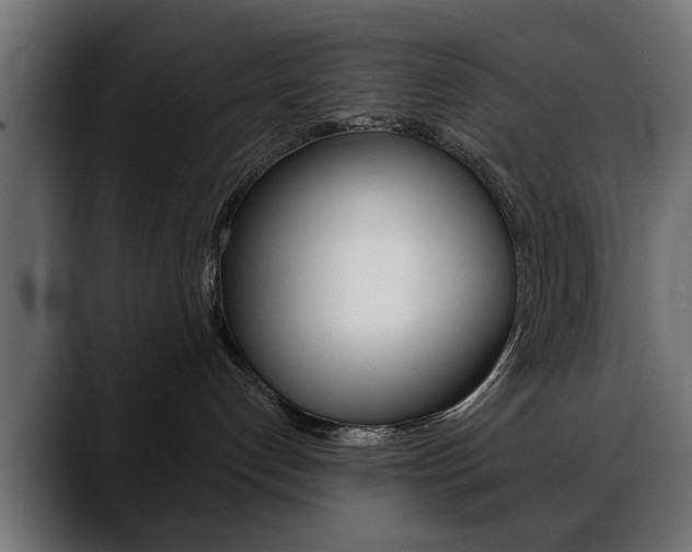 X0000088650192200705250949
