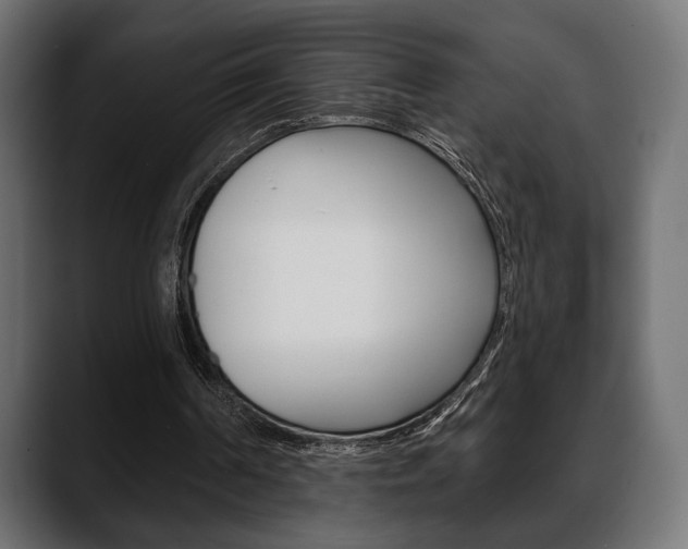 X0000088650194200705250948