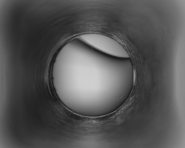 X0000088650195200705250948