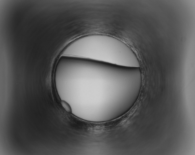 X0000088650196200705250948