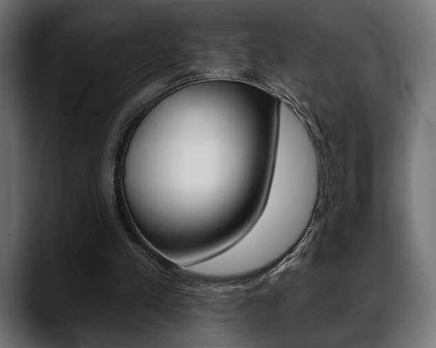 X0000088650197200705250948