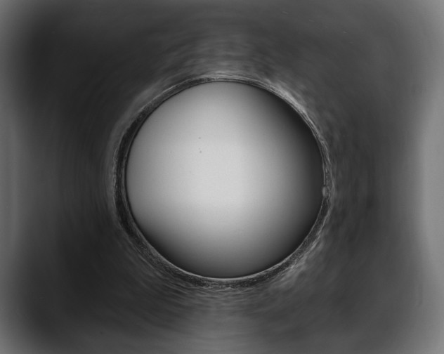 X0000088650199200705250948