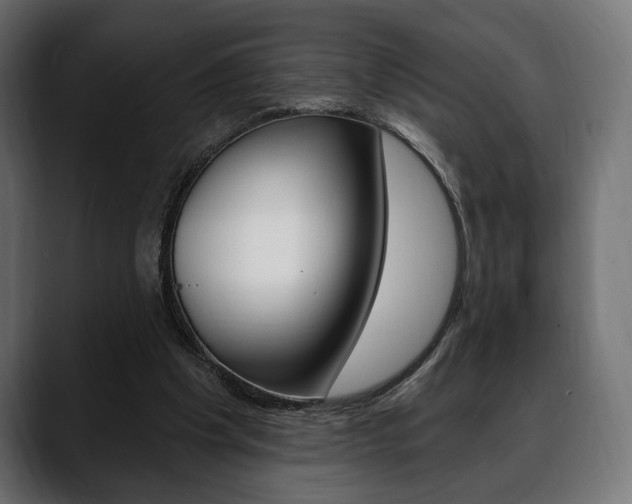 X0000088650201200705250948