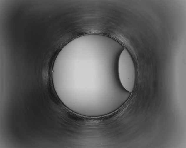 X0000088650202200705250948