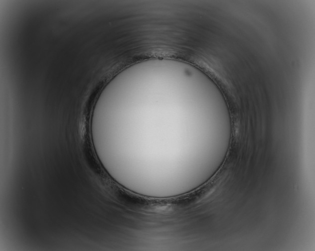 X0000088650206200705250948