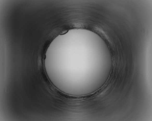 X0000088650213200705250948