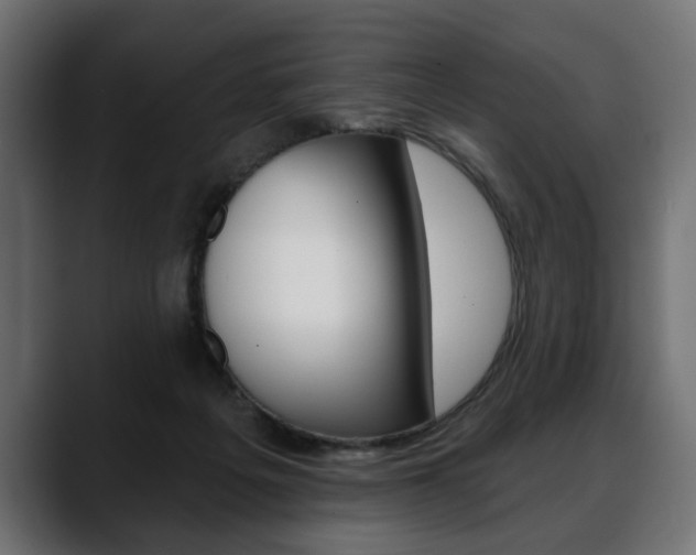 X0000088650217200705250948