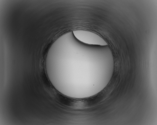 X0000088650218200705250948