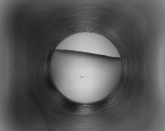 X0000088650222200705250948