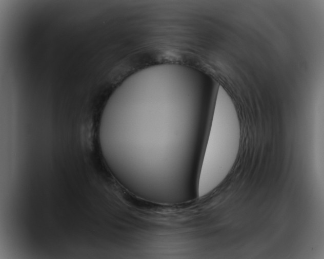 X0000088650223200705250948