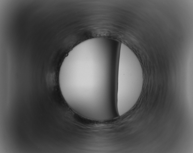 X0000088650224200705250948