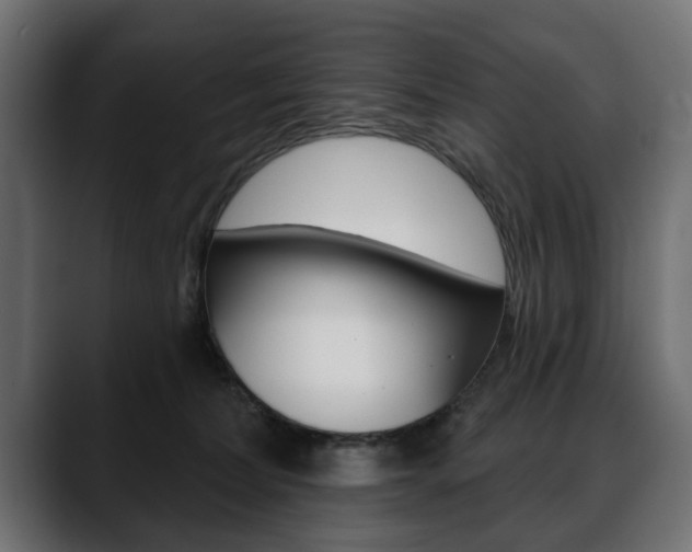 X0000088650228200705250948