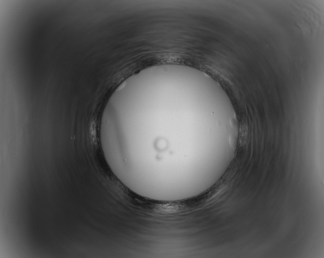X0000088650238200705250948