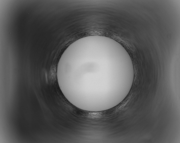 X0000088650240200705250948