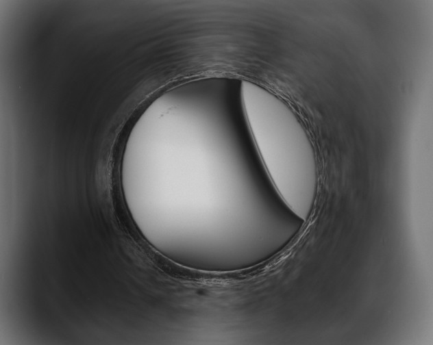 X0000088650242200705250947
