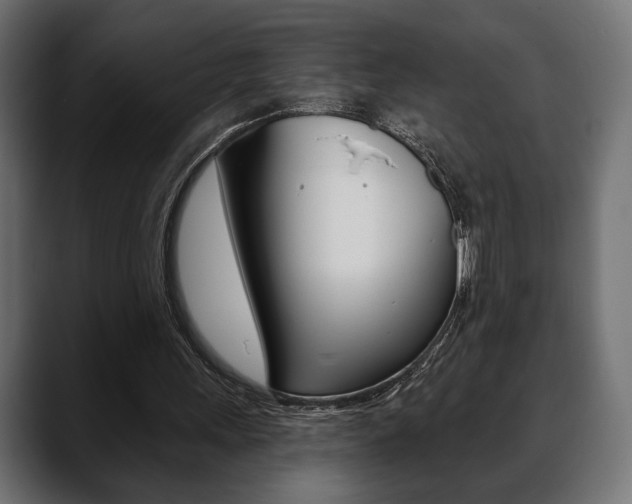 X0000088650243200705250947