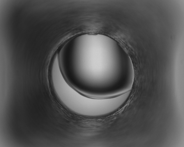 X0000088650244200705250947